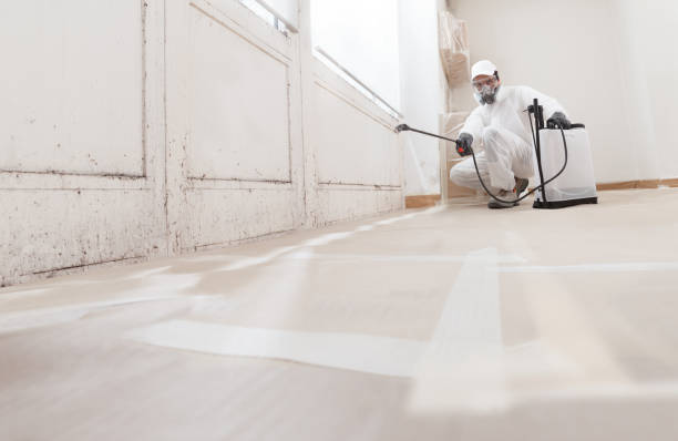 Black mold remediation team in Accokeek